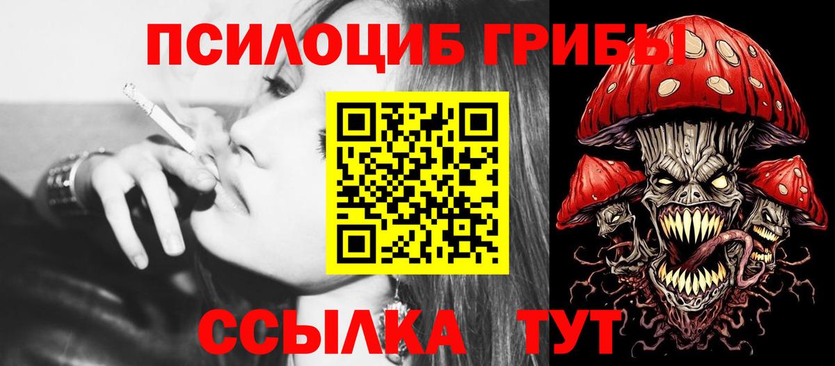 Галлюциногенные грибы Psilocybe Вологда
