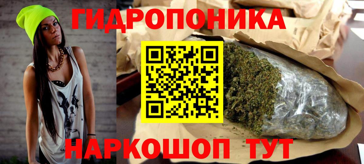 Шишки марихуана сатива  МАРИХУАНА AK-47  Вологда  Вход с VPN  Бошки марихуана план 